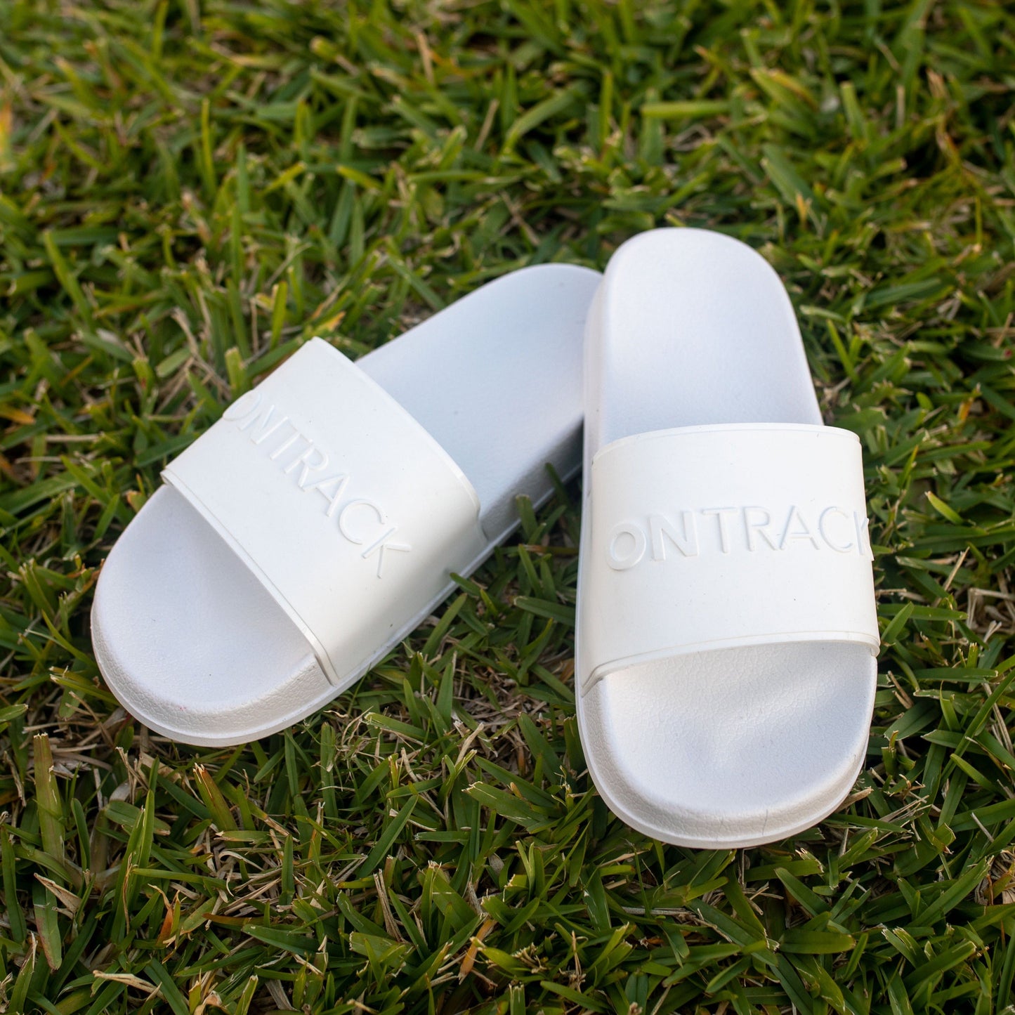 Essential Slides